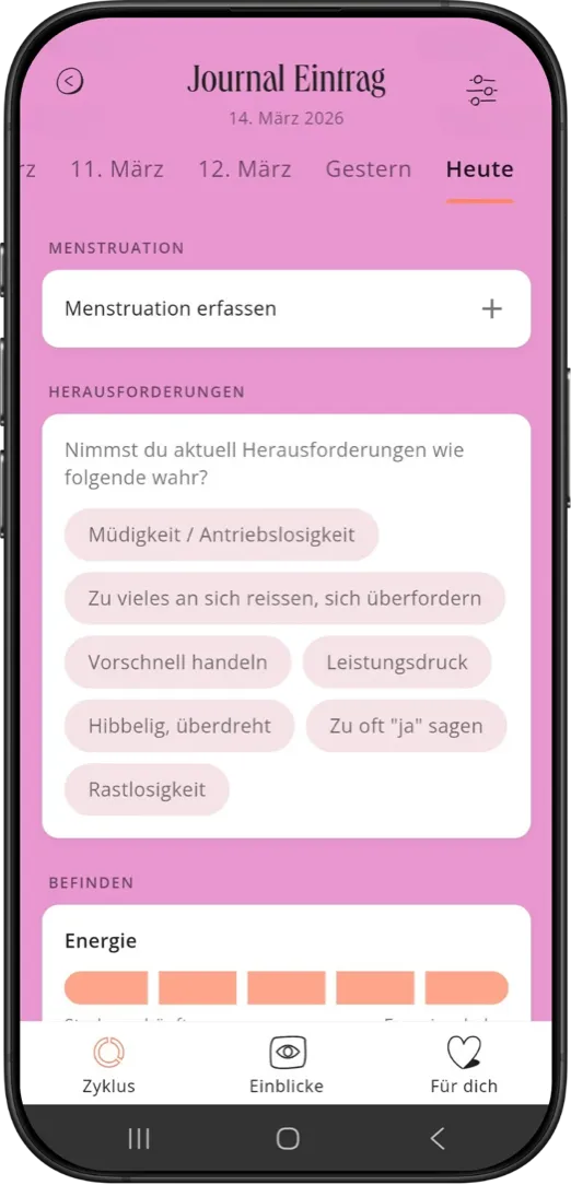 mina Zyklus-App – Journal und Stimmungstagebuch